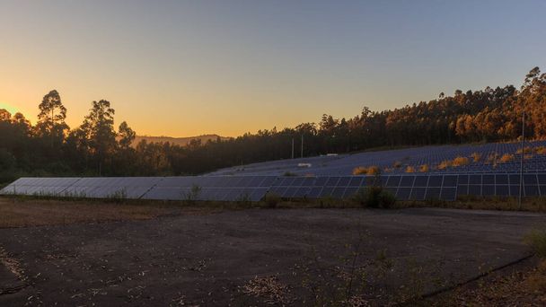 Ομάδα ηλιακών συλλεκτών κατά τη διάρκεια του ηλιοβασιλέματος, σε χρυσή ώρα - Φωτογραφία, εικόνα