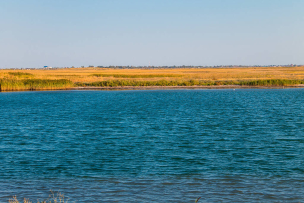 Вид на Сивашское озеро в Украине - Фото, изображение