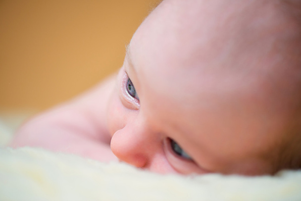 Closeup portrait of newborn baby - Foto, Imagen