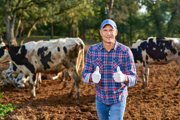 agricultor está trabajando en granja con vacas lecheras - Foto, imagen