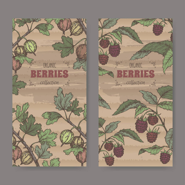 Set of two color lables with Red raspberry aka Rubus idaeus and Gooseberry aka Ribes uva-crispa sketch. - Vektör, Görsel