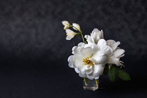 Vase with blooming white dogrose and a sprig of jasmine on a black background. - Foto, imagen