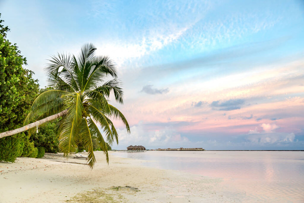 Gün batımı manzarası, cennet romantik plaj günbatımı. Gün batımında palmiye ağaçları - Fotoğraf, Görsel