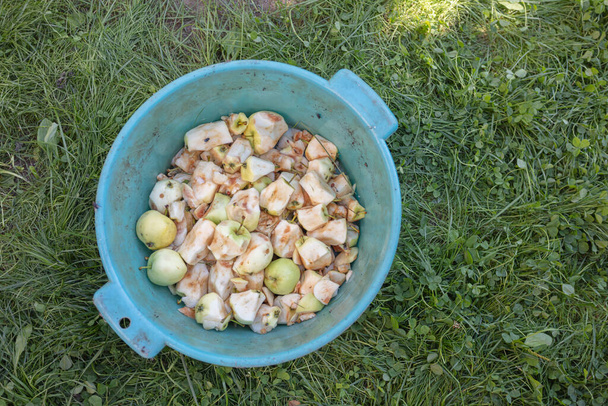 Відходи від яблук у пластиковій мисці на фоні зеленої трави. Концепція переробки фруктів та овочів
 - Фото, зображення