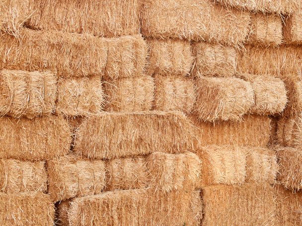 Piled stacks of dry golden hay straw. - Foto, Imagen