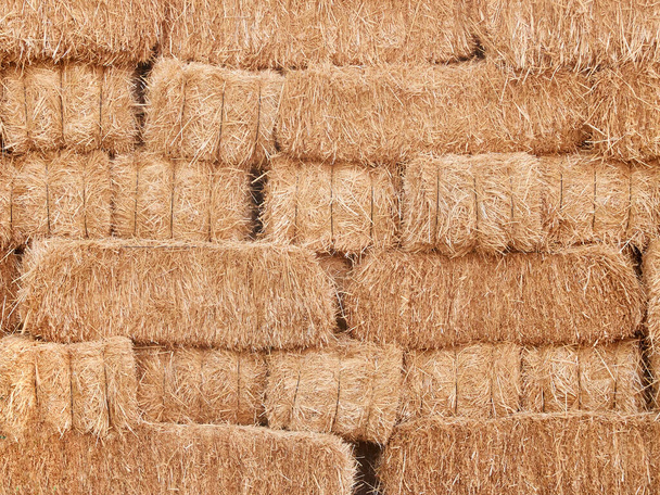 Stacks of dry straw. Piled straw haystacks. Natural dry straw texture background. - Foto, Imagem