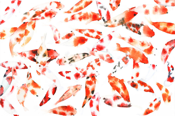 Japanese colorful fish watercolor painting on paper. Many type of koi carp fish hand drawing. Illustration of water animals painting - Valokuva, kuva