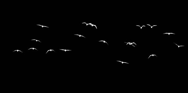 silhouette of a flock of birds on a black background . - Φωτογραφία, εικόνα