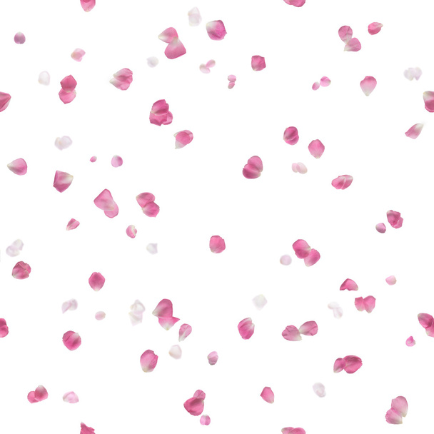 varrat nélküli repülő rózsaszín rózsaszirom - Fotó, kép
