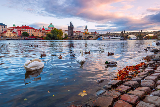 Hermosa vista de los edificios de la Ciudad Vieja y el Puente de Carlos a lo largo del río Moldava al atardecer en Praga, República Checa - Foto, imagen