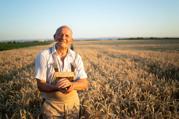 Πορτρέτο επιτυχημένου αγρότη γεωπόνου που στέκεται στον τομέα του σιταριού. Επιτυχής βιολογική παραγωγή και καλλιέργεια τροφίμων. - Φωτογραφία, εικόνα