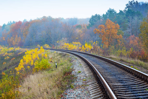 Tor kolejowy przechodzący przez jesienny las - Zdjęcie, obraz