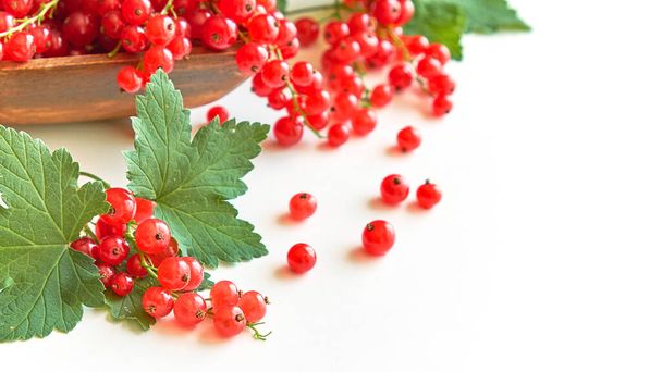 fresh red currant in a wooden bowl isolated on white background. summer harvest of vitamins. - Photo, Image