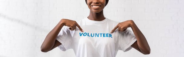 Horizontal image of african american volunteer pointing with fingers at t-shirt with lettering  - Photo, Image