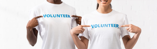 Panoramic crop of multiethnic women pointing with fingers at volunteer lettering on t-shirts  - Photo, Image