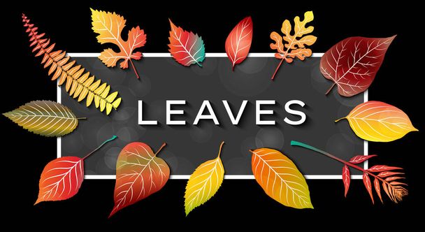 Marco de hojas de otoño colorido. Ilustración vectorial - Vector, Imagen