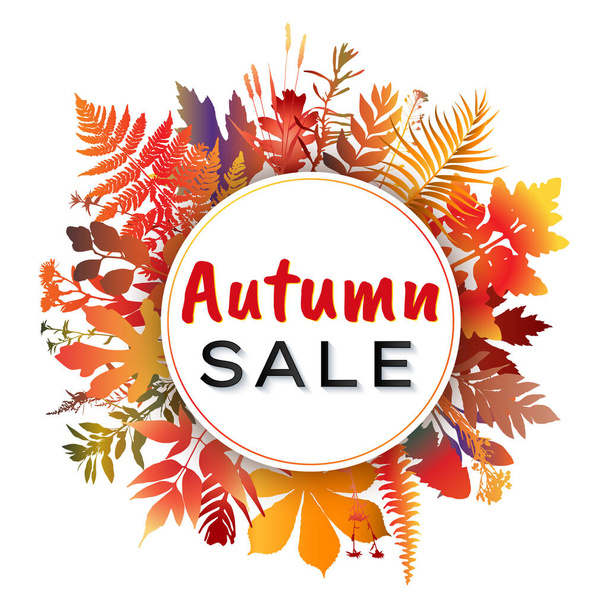 Autumn sale frame with colorful leaves and plants. Vector illustration - Vector, Image