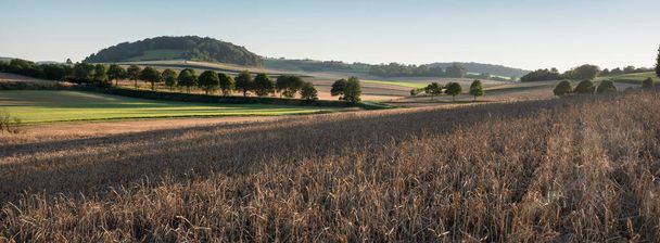 landscape with cornfields and meadows in regional parc de caps et marais dopale in the north of france - Photo, Image