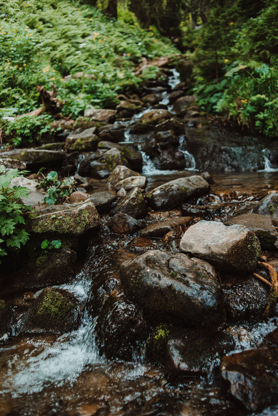 Mountain stream in the forest - Photo, Image