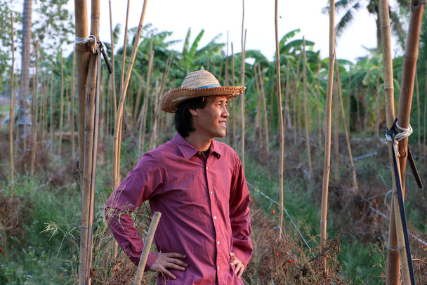 Homem agricultor em pé na frente da parcela vegetal e vestindo um chapéu de palha com camisa vermelha de mangas compridas. - Foto, Imagem