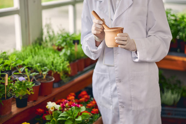 Botanist in latex gloves grinding herbal substances - Photo, Image