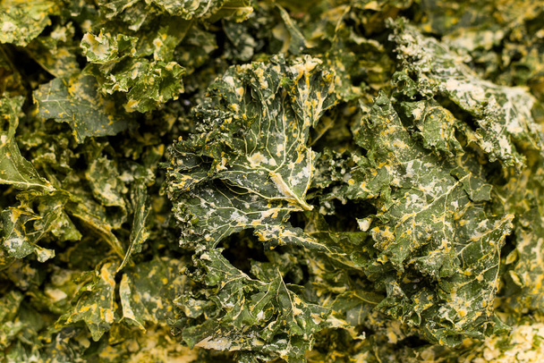 Kale chips texture close up - Foto, immagini