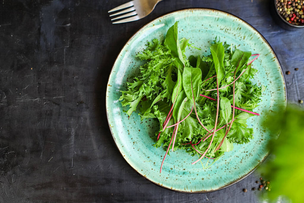 Gezonde saladebladeren meng salade micro-greens, portie sizenaturale sappige snack. voedsel achtergrond keto of paleo dieet rauw - Foto, afbeelding