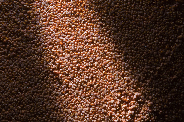 Lots of lentils - Photo, Image