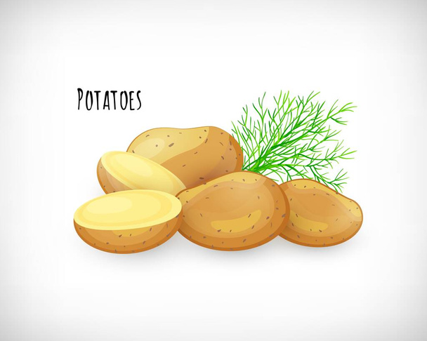 Patates bütün, yarım, soyulmamış, dereotlu dal düz stil. Sebzeli organik ekolojik tarım ürünü. Patates Mektubu. Patates taze çiğ sebze görüntüsü. Beyaz arkaplanda vektör illüstrasyonu. - Vektör, Görsel