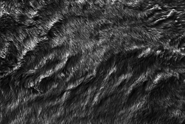 Черная настоящая шерсть с бежевым фактурным фоном. темная натуральная овечья шерсть. бесшовный плюшевый хлопок, текстура пушистого меха для дизайнеров  - Фото, изображение