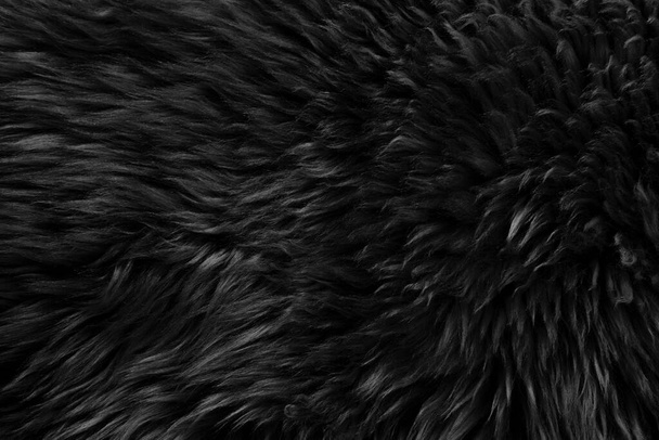 Černá skutečná vlna s béžovou horní texturou pozadí. tmavá přírodní ovčí vlna. hladká plyšová bavlna, textura nadýchané kožešiny pro designéry - Fotografie, Obrázek