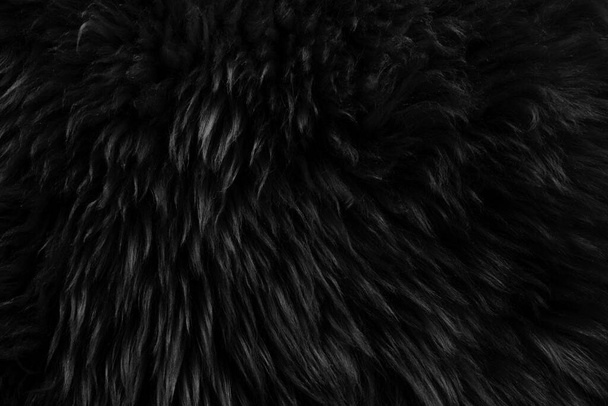 Schwarze Echtwolle mit beigem Hintergrund. dunkle, natürliche Schafwolle. nahtlose Plüsch-Baumwolle, Textur aus flauschigem Fell für Designer - Foto, Bild