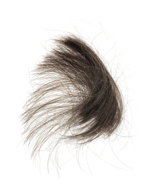 Pakiet włosów izolowany na białym tle. kosmyk włosów zbliżenie - Zdjęcie, obraz