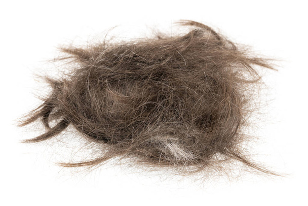 Vlasový uzlík izolovaný na bílém pozadí. vousy vlasy close-up - Fotografie, Obrázek