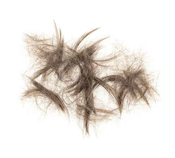 Δέσμη μαλλιών απομονωμένη σε λευκό φόντο. κοντινές τούφες μαλλιών - Φωτογραφία, εικόνα