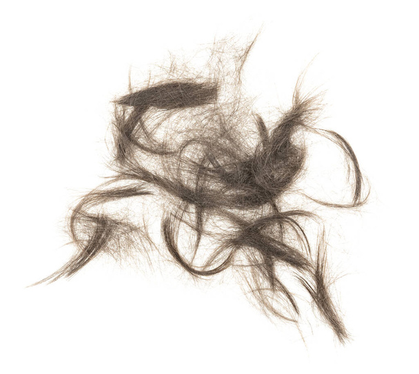 Hiukset nippu eristetty valkoisella taustalla. tupsu hiukset lähikuva - Valokuva, kuva