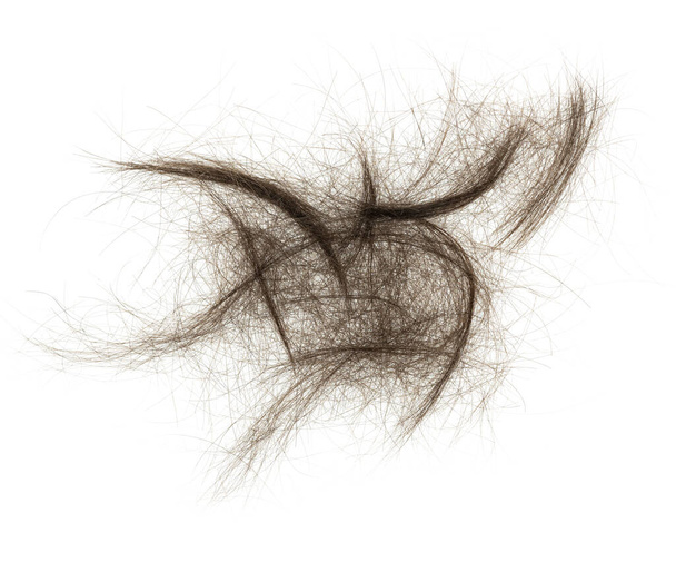 Пучок волос изолирован на белом фоне. пучок волос крупным планом - Фото, изображение