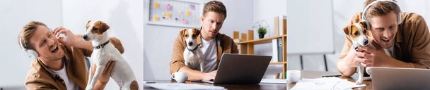 collage of businessman with jack russell terrier dog listening music in wireless headphones and working at laptop, panoramic shot - Photo, Image