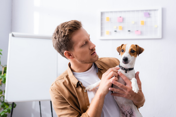 businessman in casual clothes standing near blank flipchart while holding jack russell terrier dog - Photo, Image