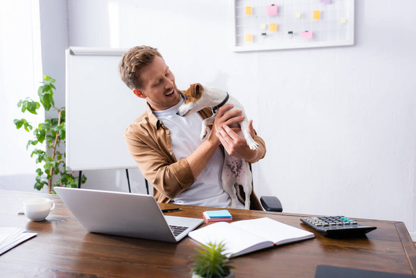 hombre de negocios en ropa casual sosteniendo gato russell terrier perro mientras está sentado en la oficina cerca de la computadora portátil y portátil - Foto, imagen