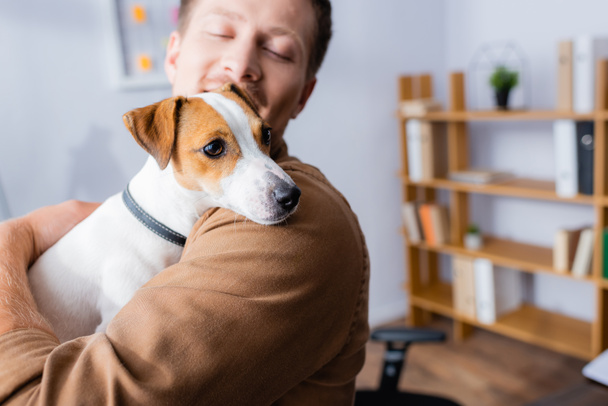 selective focus of young businessman holding jack russell terrier dog while standing in office - Foto, Imagem