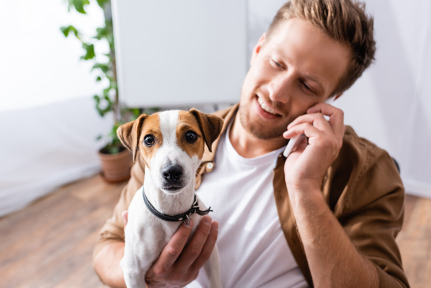 selektywne skupienie biznesmena rozmawiającego przez telefon komórkowy trzymając psa terrier Jack Russell - Zdjęcie, obraz