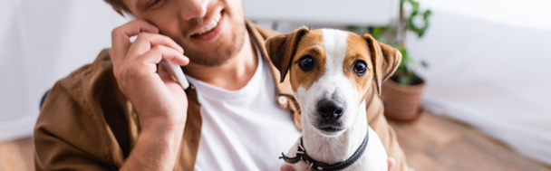Ausgeschnittene Ansicht eines Geschäftsmannes mit Jack Russell Terrier Hund, der im Büro auf dem Smartphone spricht, horizontales Bild - Foto, Bild