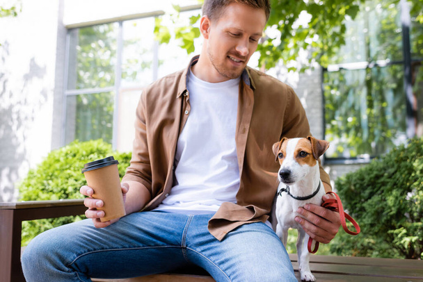 fiatal férfi alkalmi ruhák kezében papír pohár, miközben ül padon közelében Jack Russell terrier kutya - Fotó, kép