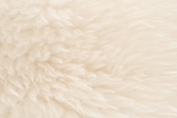 Biała prawdziwa wełna z beżowym tłem. lekka kremowa naturalna wełna owcza. gładka pluszowa bawełna, tekstura puszystego futra dla projektantów - Zdjęcie, obraz