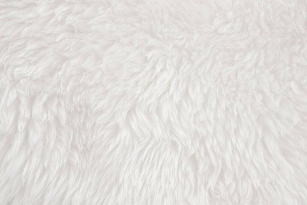 Lana reale bianca con sfondo beige texture superiore. lana di pecora naturale crema leggera. cotone peluche senza cuciture, trama di pelliccia soffice per i progettisti - Foto, immagini