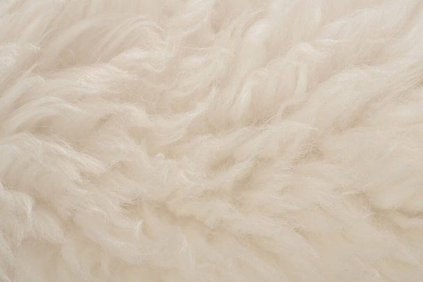 White real wool with beige top texture background. light cream natural sheep wool.  seamless plush cotton, texture of fluffy fur for designers - Photo, Image
