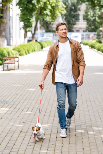 jeune homme en vêtements décontractés marchant avec Jack Russell terrier chien en laisse le long de l'allée urbaine - Photo, image