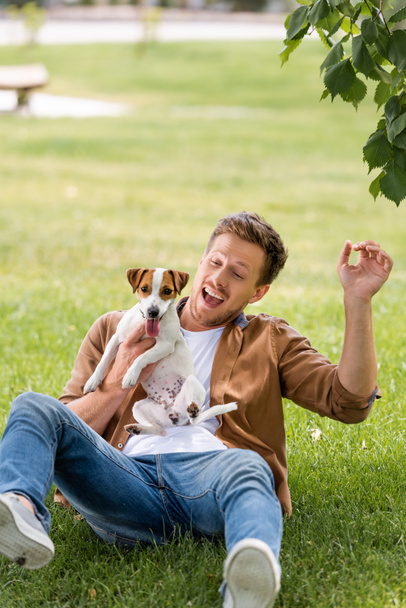 excited man in casual clothes holding jack russell terrier dog while having fun on lawn - 写真・画像
