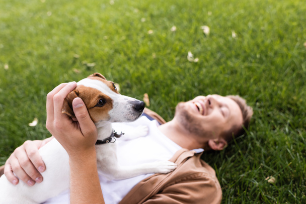 Jack Russell 'la yatan adamın seçici odak noktası yeşil çimlerde gözleri kapalı teriyer köpeği. - Fotoğraf, Görsel